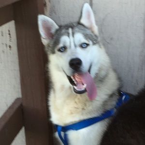 Meet your Posher, Heather